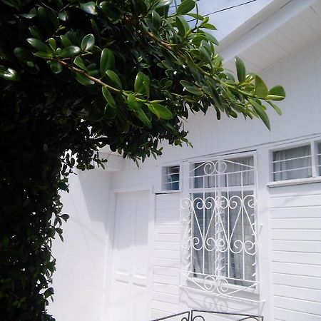 Bight View Hotel San Andrés Exterior foto