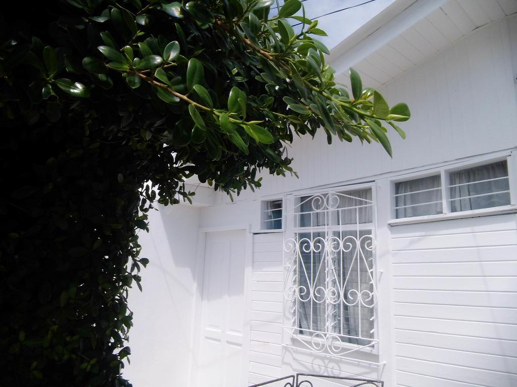 Bight View Hotel San Andrés Exterior foto